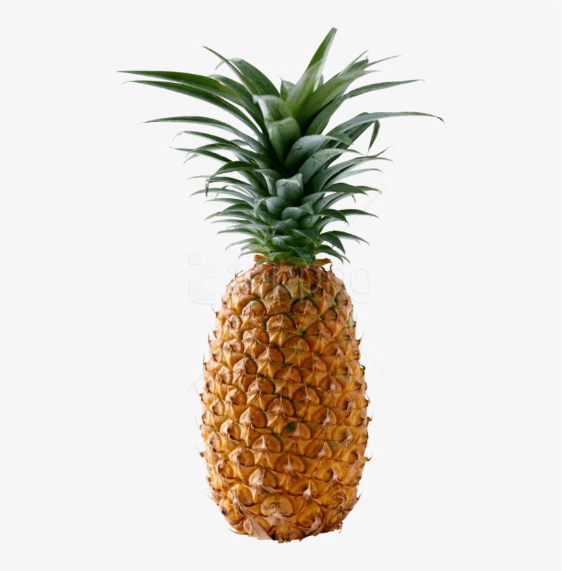 Free Png Download Pineapple Png Images Background Png - Pineapple Png, transparent png #9092604