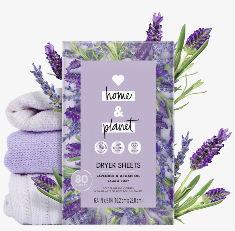 English Lavender, transparent png #9092826