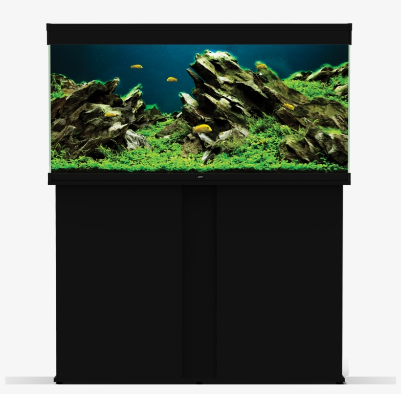 Emotions Pro - Emotion, transparent png #9093316