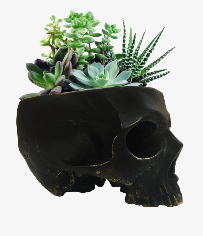 Skull Gold Edges Skull Planter / Skull Bowl / Cool - Bag, transparent png #9093491