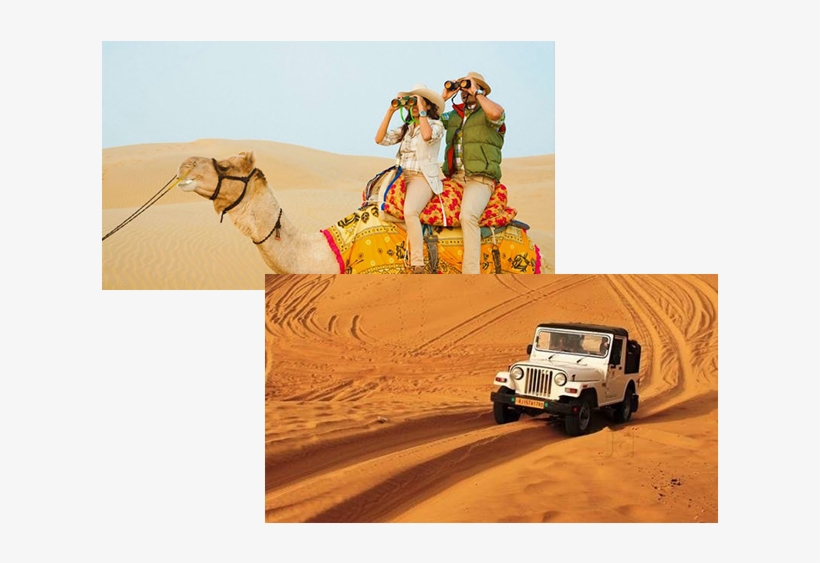 Food Dish Image - Camel Safari In Thar Desert, transparent png #9093666