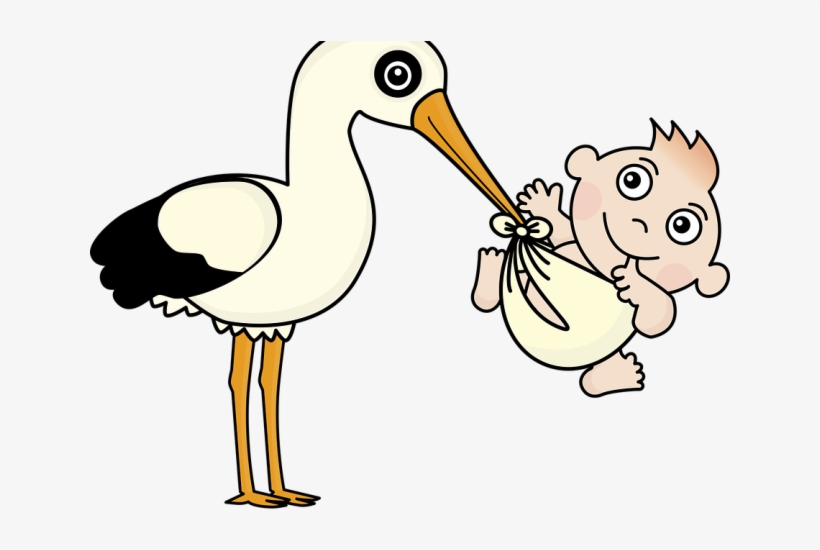 Stork Clipart Baby Vector - Infant, transparent png #9095046