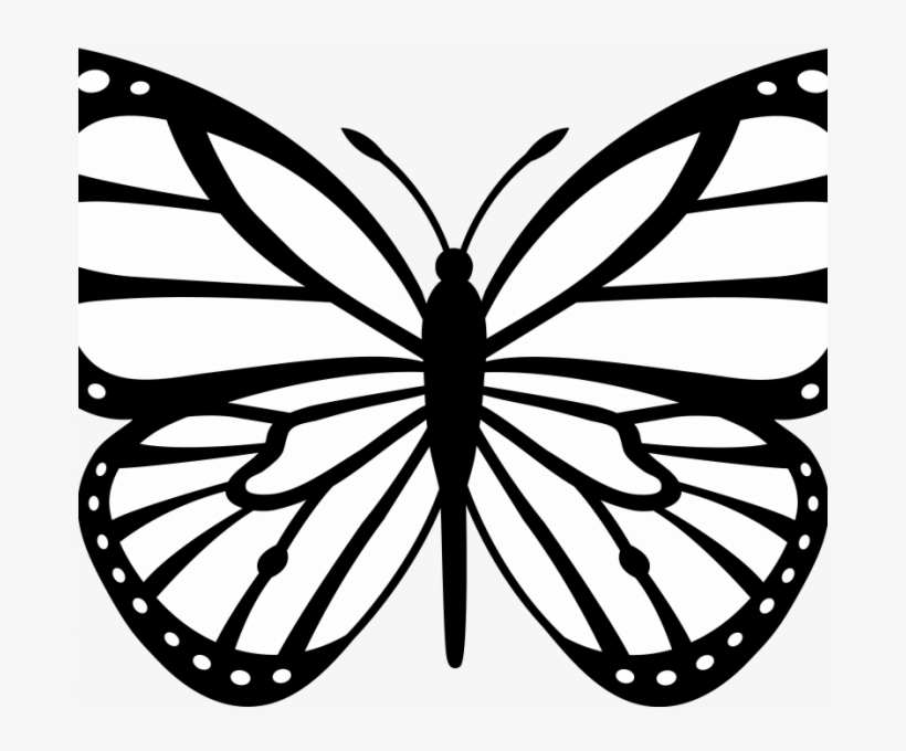 Butterfly Print Out Butterfly Print Outs 11371 Printable - Flower Clipart Png Black And White And Butterfly, transparent png #9095047