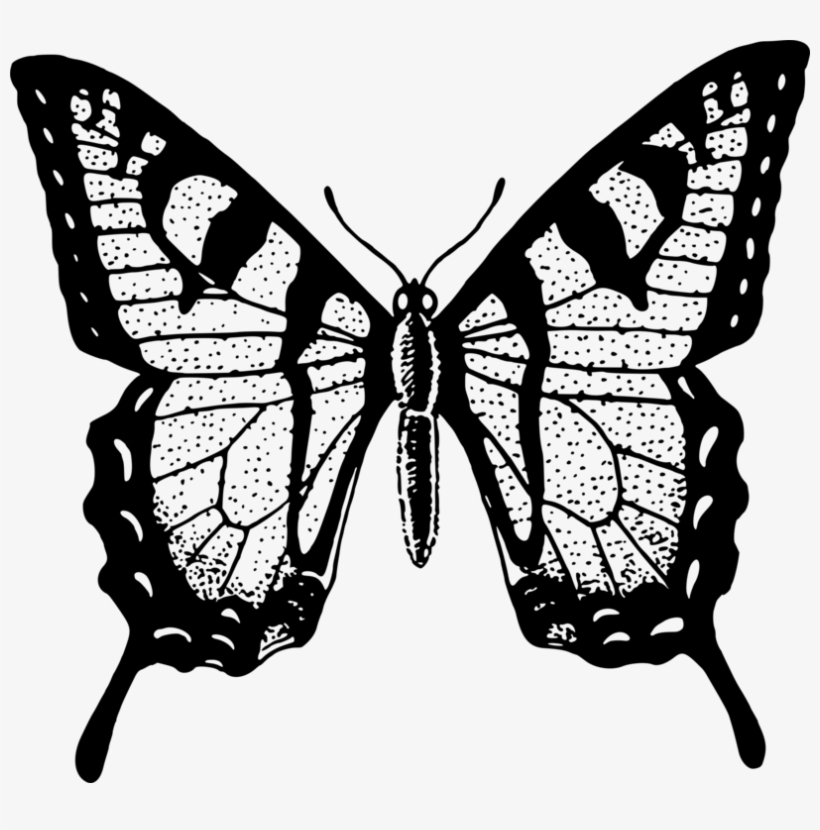 Monarch Butterfly Brush-footed Butterflies Black And - Butterfly Black And White Png, transparent png #9095220