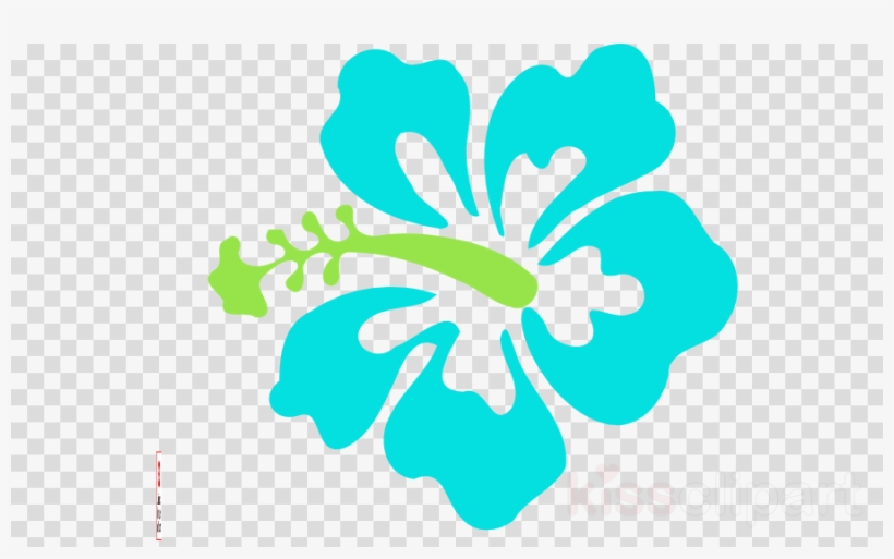 900 X 520 1 - Hibiscus Flower Svg, transparent png #9095332