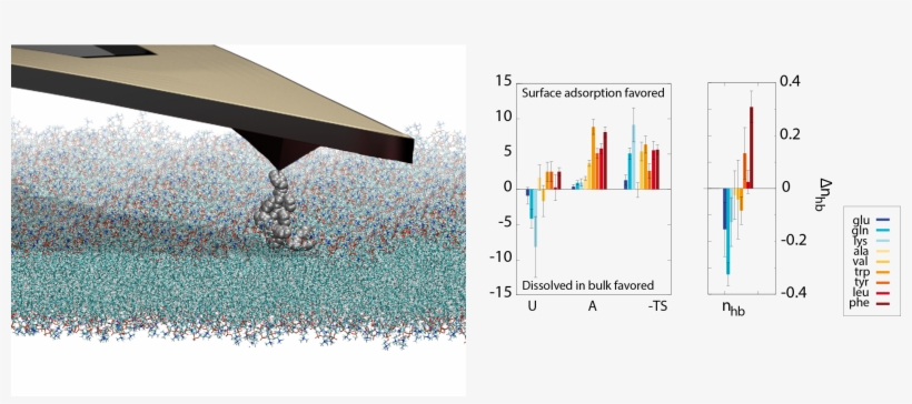 Schwierz, D - Diagram, transparent png #9095729