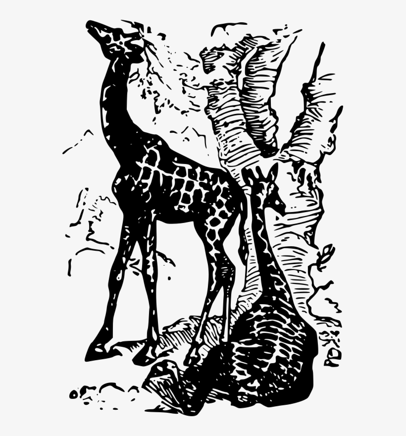 By J4p4n - Giraffe, transparent png #9097166
