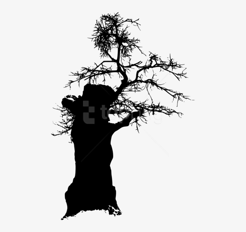Free Png Tree Silhouette Png - Silhouette, transparent png #9097167