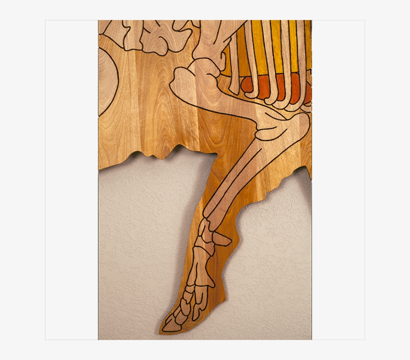 Wood, transparent png #9098481