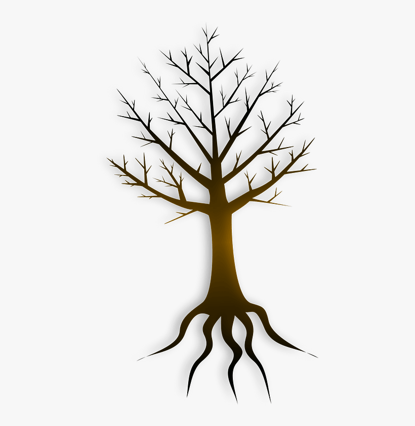 Roots Clipart Tree Trunk - Tronco De Arbol Dibujo Png, transparent png #910030