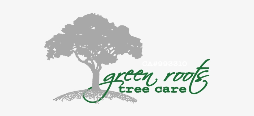 Green Roots Tree Care - Seyyah Ulu Çınarın Izinde, transparent png #910425