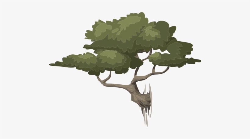 Clip Art Freeuse Tree Flora Y Naturaleza - Bonsai Tree Transparent Background, transparent png #910443
