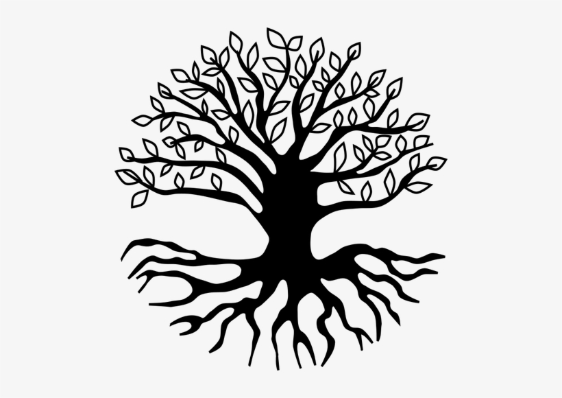 Graphic Download Tree Root Drawing At Getdrawings - Tree Roots Clipart, transparent png #910537