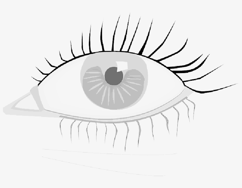 Mb Image/png - Eye Clip Art, transparent png #911051