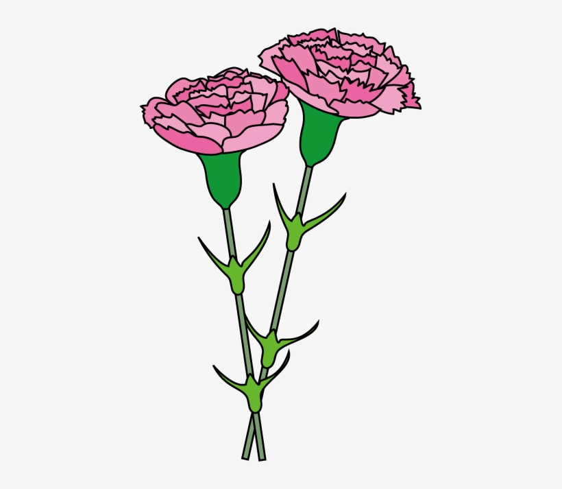 Carnation Cliparts - Clip Art, transparent png #912761