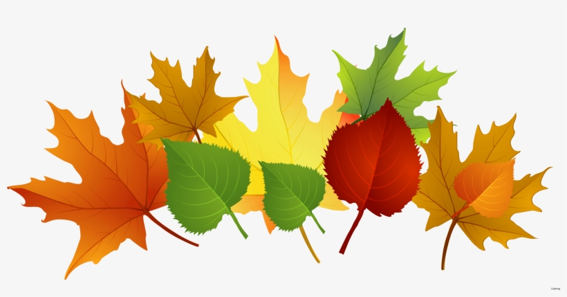 Fall Leaves Clipart, transparent png #912843