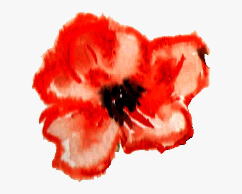 Festival International De Théâtre - Corn Poppy, transparent png #913103