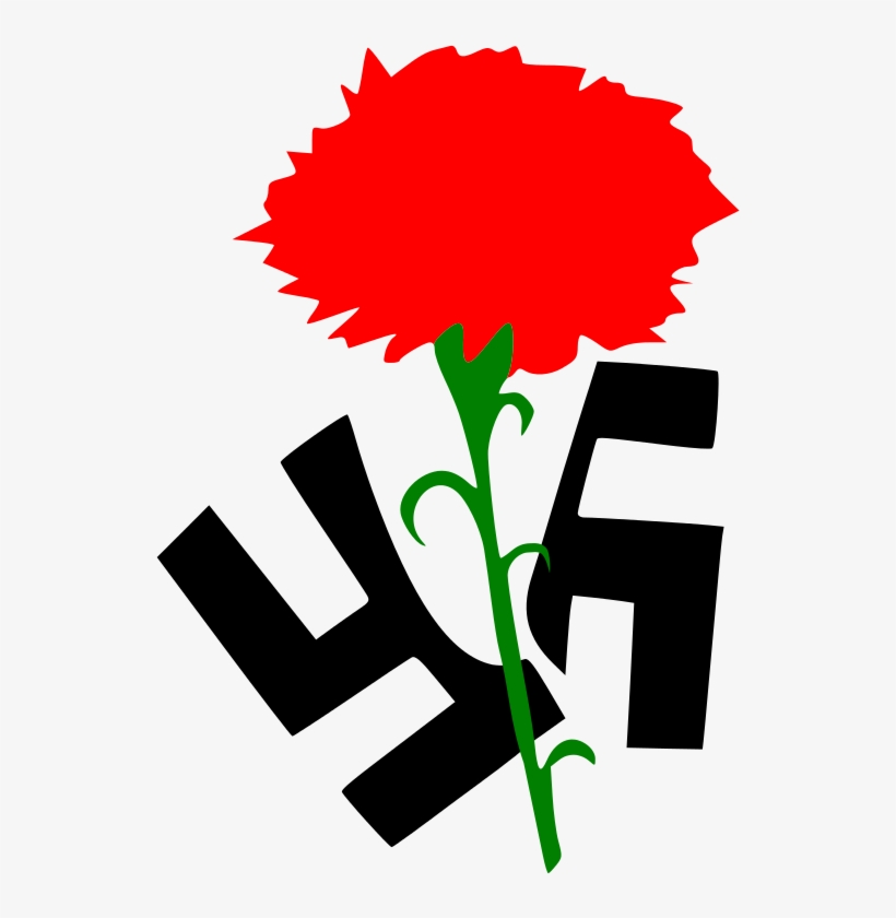 Carnation - Against Fascism, transparent png #913110