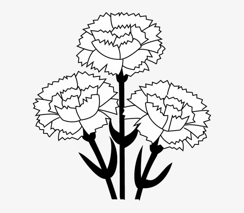 Carnation Clip Art - Carnation Flower Black And White Clipart, transparent png #913141