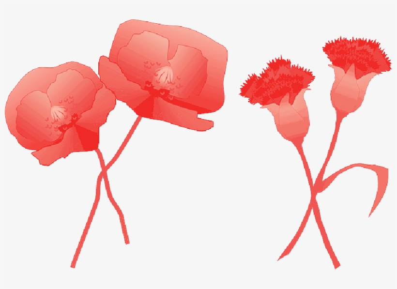 Mb Image/png - Claveles Png, transparent png #913274