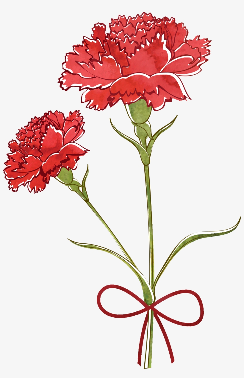 Flower Watercolor Painting Transprent Png Free Download - Carnation Watercolor, transparent png #913277