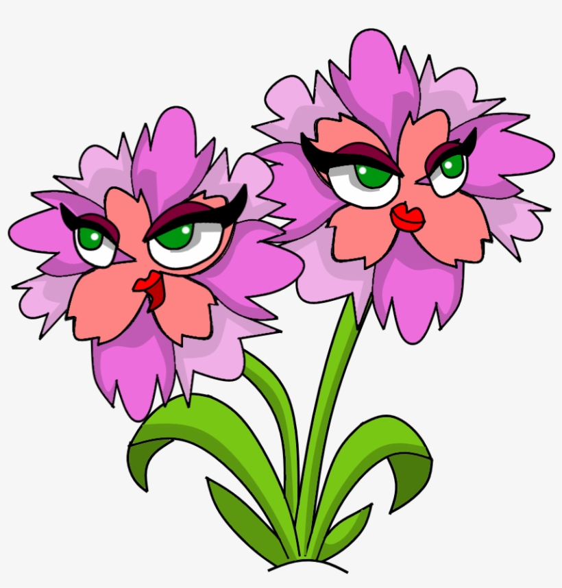 Charming Carnation Hd, transparent png #913363