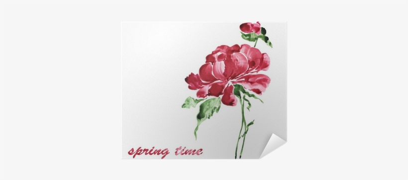 Peony, transparent png #913500