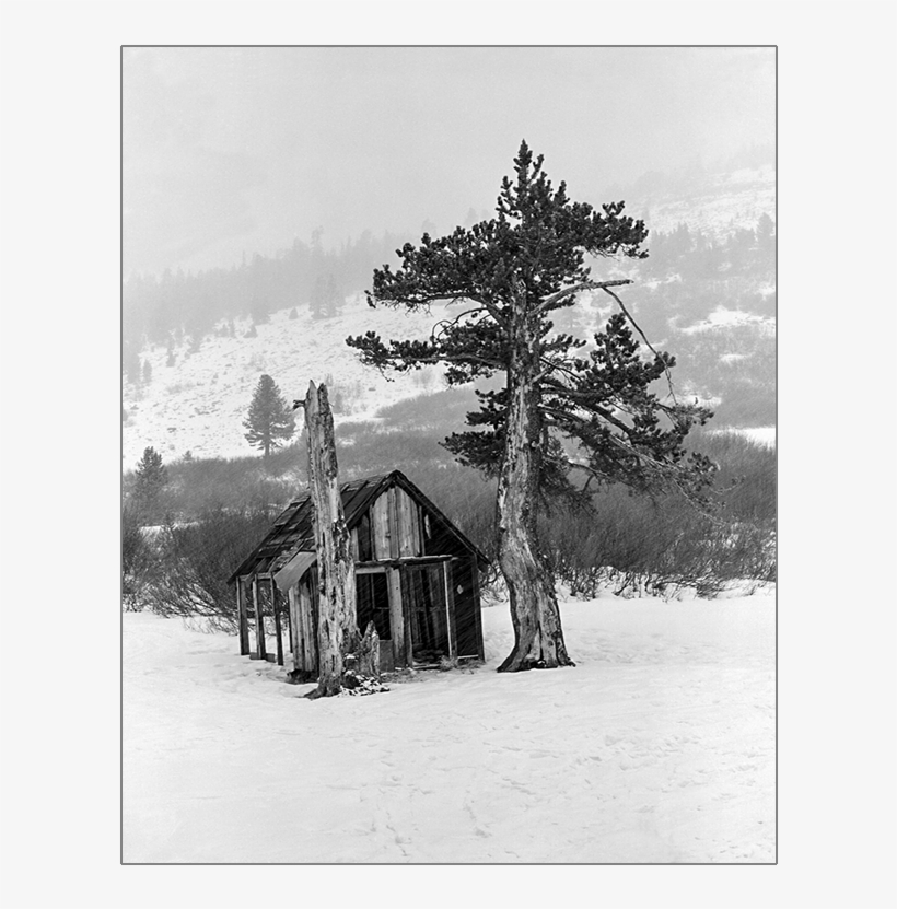 Old Cabin In Snow - Painting, transparent png #913551