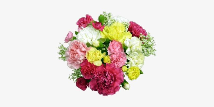 Classic Carnations Bouquet - Cut Flowers, transparent png #913580