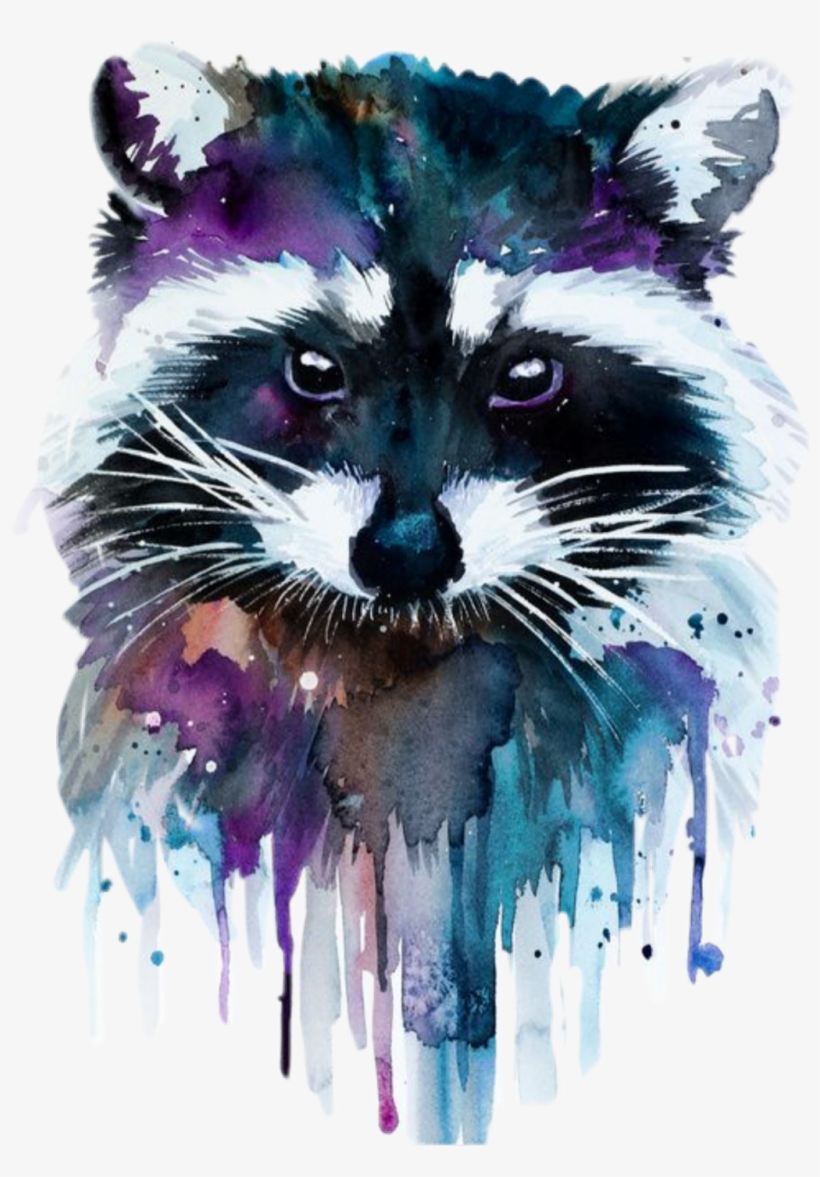 Report Abuse - Raccoon Watercolor, transparent png #913584