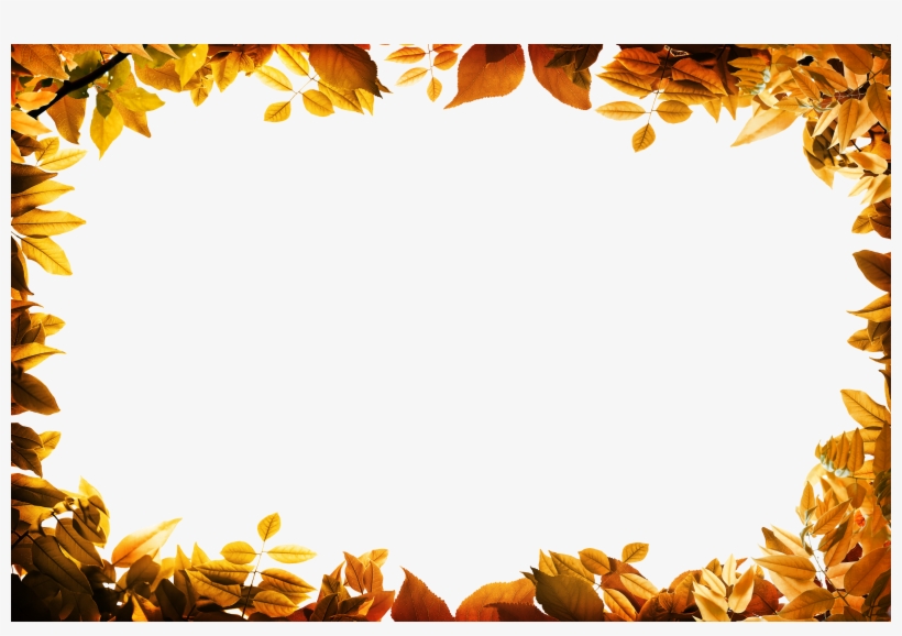 Film Frame Leaf Clip - Autumn Border, transparent png #913766