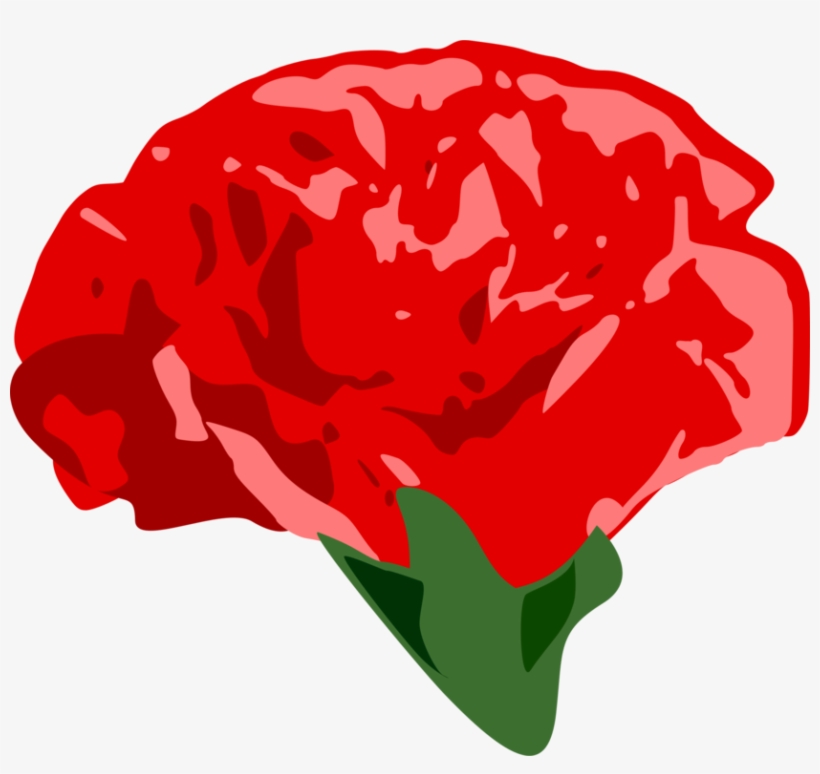 Carnation Garden Roses Drawing Computer Icons - Clip Art, transparent png #913928