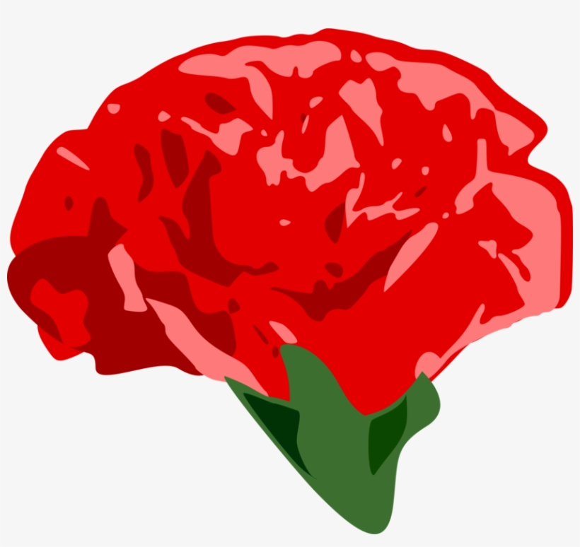 Carnation Garden Roses Drawing Computer Icons - Clip Art - Free