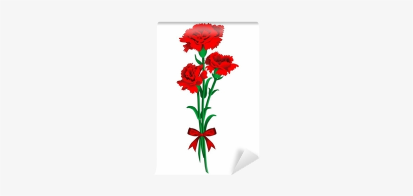 Carnation, transparent png #913957
