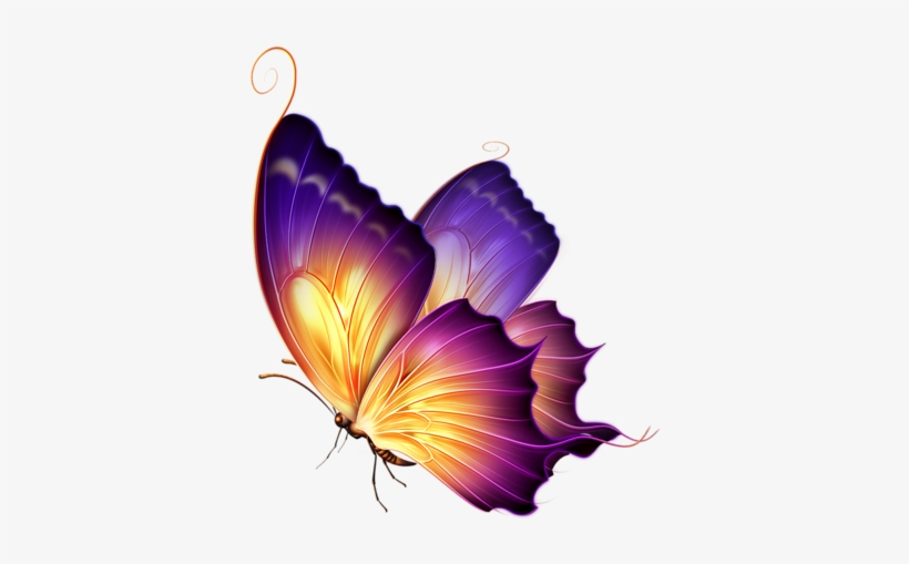Svetajud «butterfly 17 » На Яндекс - Colour Butterfly Png, transparent png #914013
