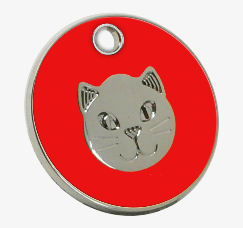 Cat, transparent png #914093