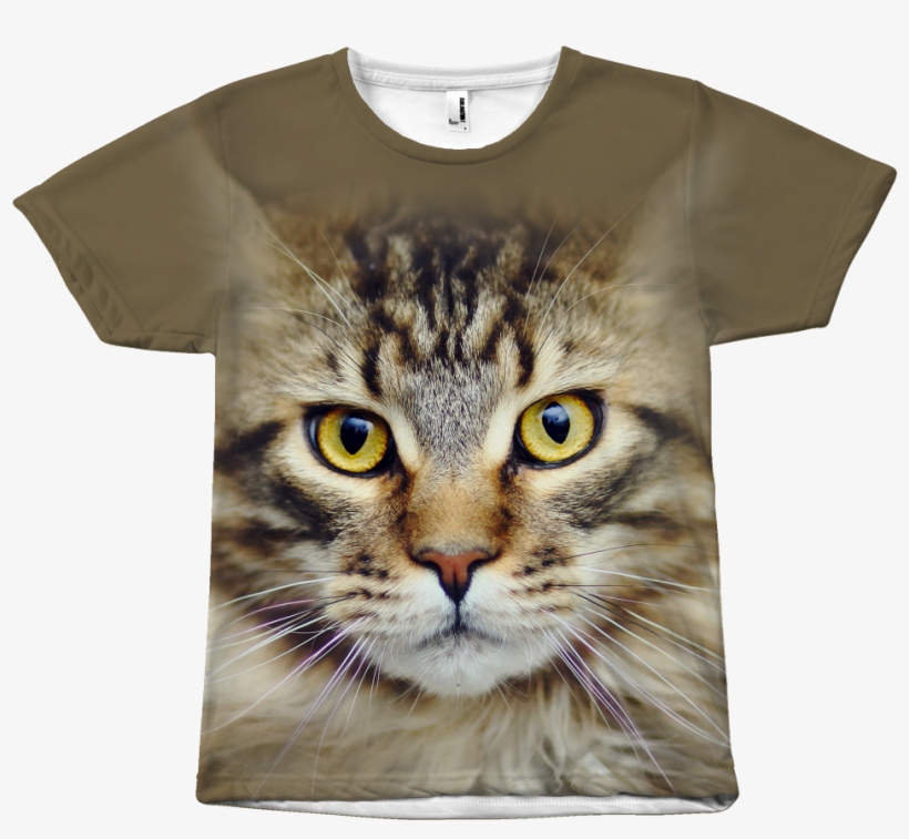 Pet Maine Coon Cat Face All Over Print T Shirt Tc International - Maine Coon, transparent png #914123