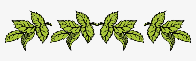 Border Png Tumblr Leaf Border Tumblr Png Free Transparent Png Download Pngkey