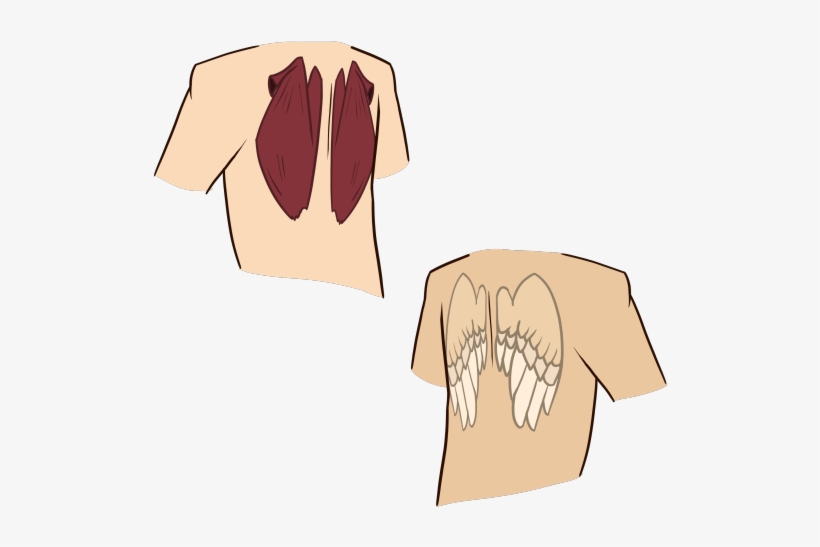 Demons Have Bat Like Wings That Are Dark Colored, Angels - Illustration, transparent png #914322