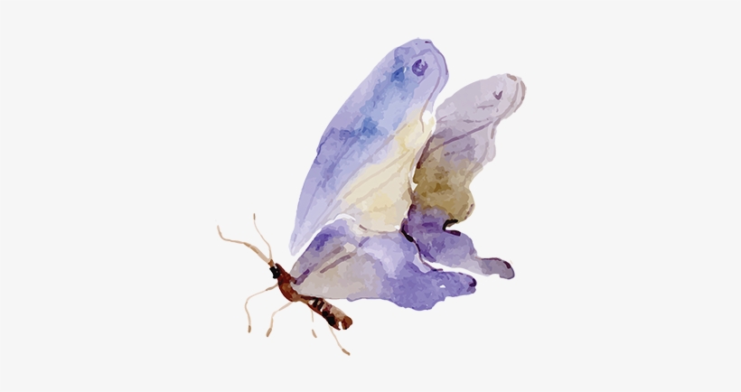 Juno May Music Butterfly Web - Watercolor Painting, transparent png #914402