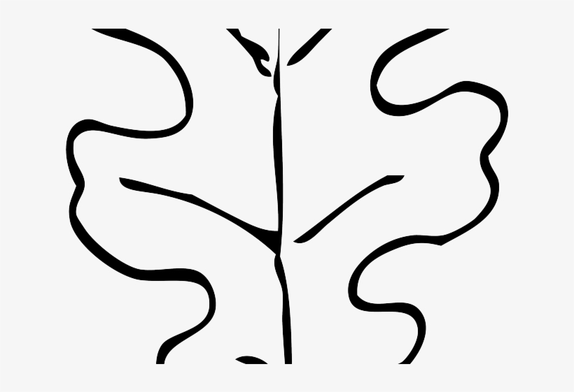 Drawn Leaves Leaf Border Png - Leaf Outline Clipart Black And White, transparent png #914647