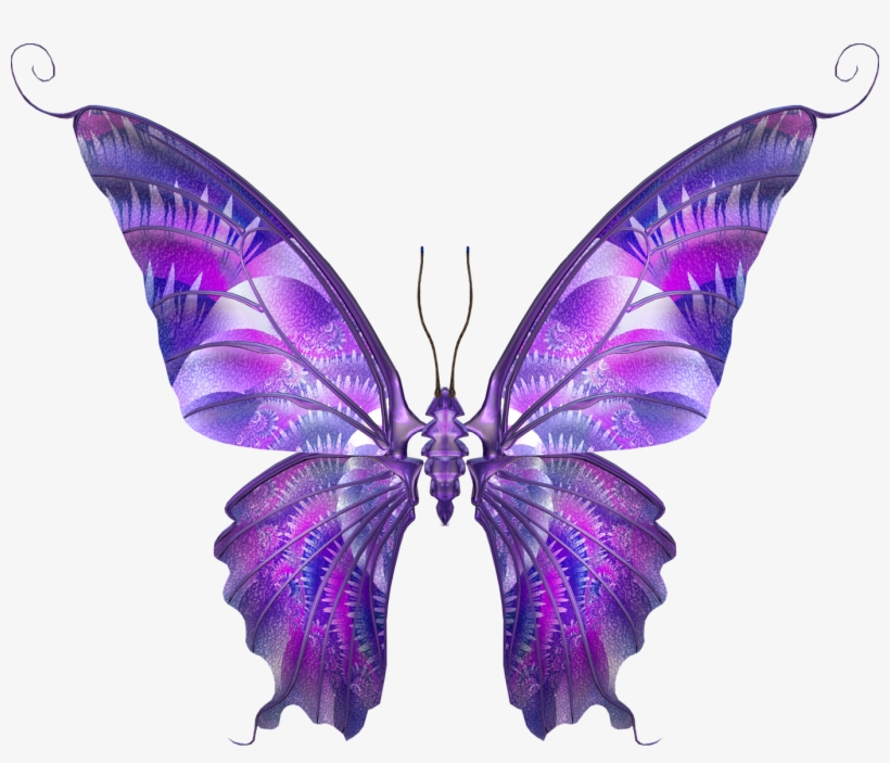 Free Desktop Wallpapers, Photos, Pictures And Backgrounds - Real Butterfly Wings Purple, transparent png #914734