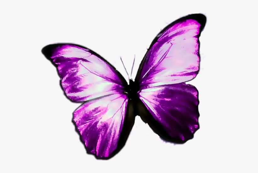 Butterfly-purple Round Car Magnet, transparent png #914988