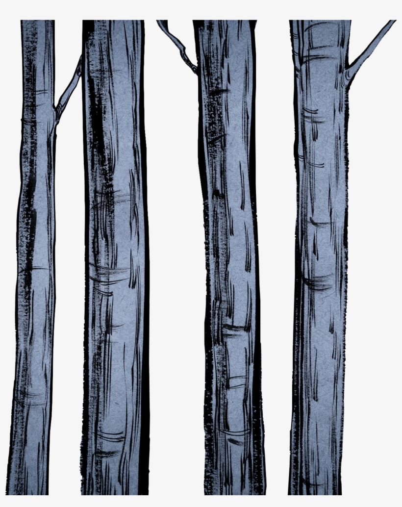 In The Tree Park, A Wall Listing Donors And Fixed Special - Wood, transparent png #915639