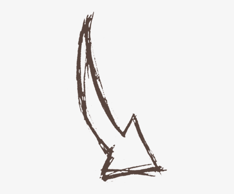 Search - Germania Society Of Cincinnati, transparent png #915861