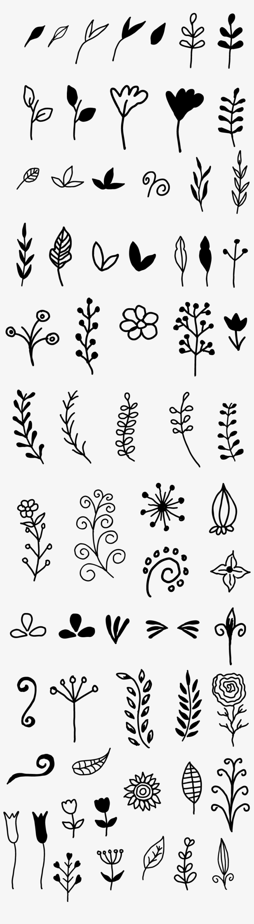Hand Drawn Floral Vector - Calligraphy Doodles, transparent png #916103