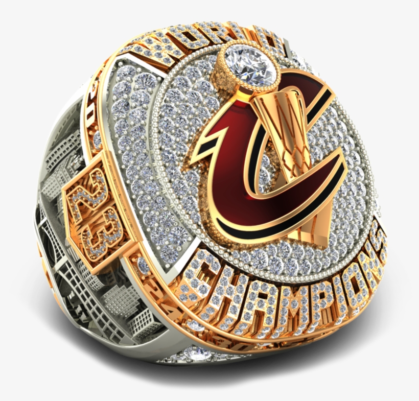 Bald Eagle, transparent png #916946