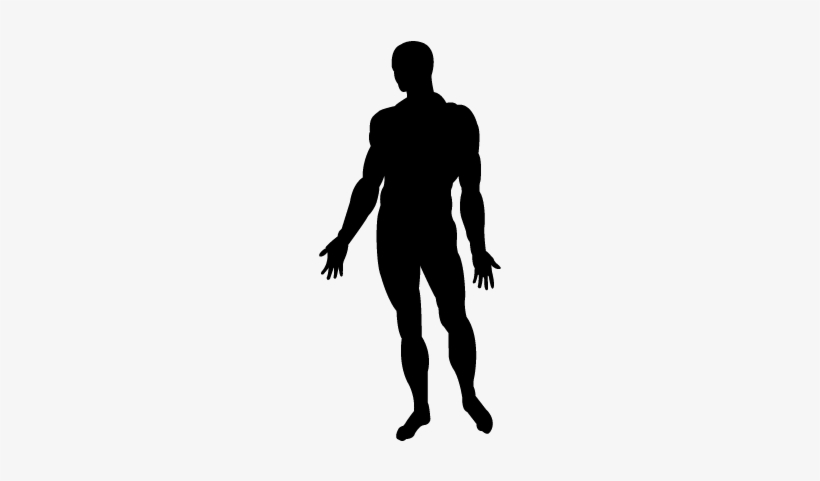 Human Body Standing Black Silhouette Vector - Man Body Silhouette