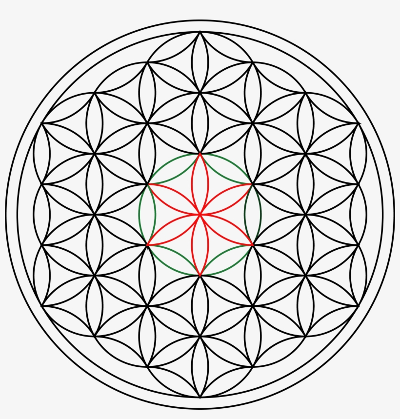 Sacred Geometry Lesson - Flor De La Vida Geometria Sagrada Pdf, transparent png #918028