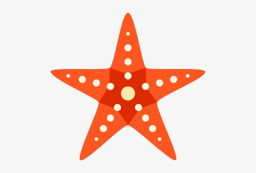 Download Starfish Png Transparent Images And Alpha - Starfish Vector Png, transparent png #918476